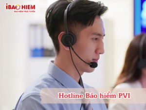 Hotline Bảo hiểm PVI