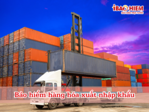 Bảo hiểm hàng hóa xuất nhập khẩu