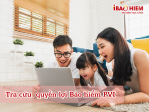 Tra cứu quyền lợi Bảo hiểm PVI