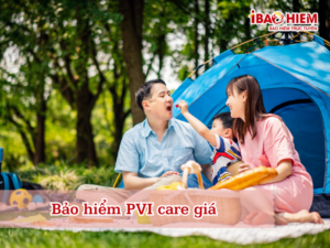 Bảo hiểm PVI care giá