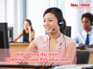 Văn phòng đại diện CSKH PVI phía nam