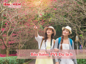 Bảo hiểm PVI Du lịch