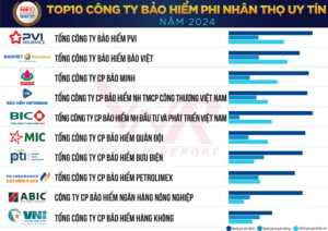 Top 10 Công ty Bảo hiểm Phi nhân thọ uy tín năm 2024