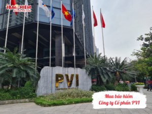 Mua bảo hiểm Công ty Cổ phần PVI