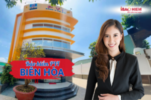 Bảo hiểm PVI Biên Hòa